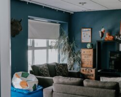 Living Room at Garden Lane Backpackers 6