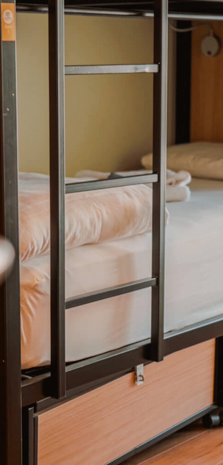 Shared Dormitory at Garden Lane Backpackers 14