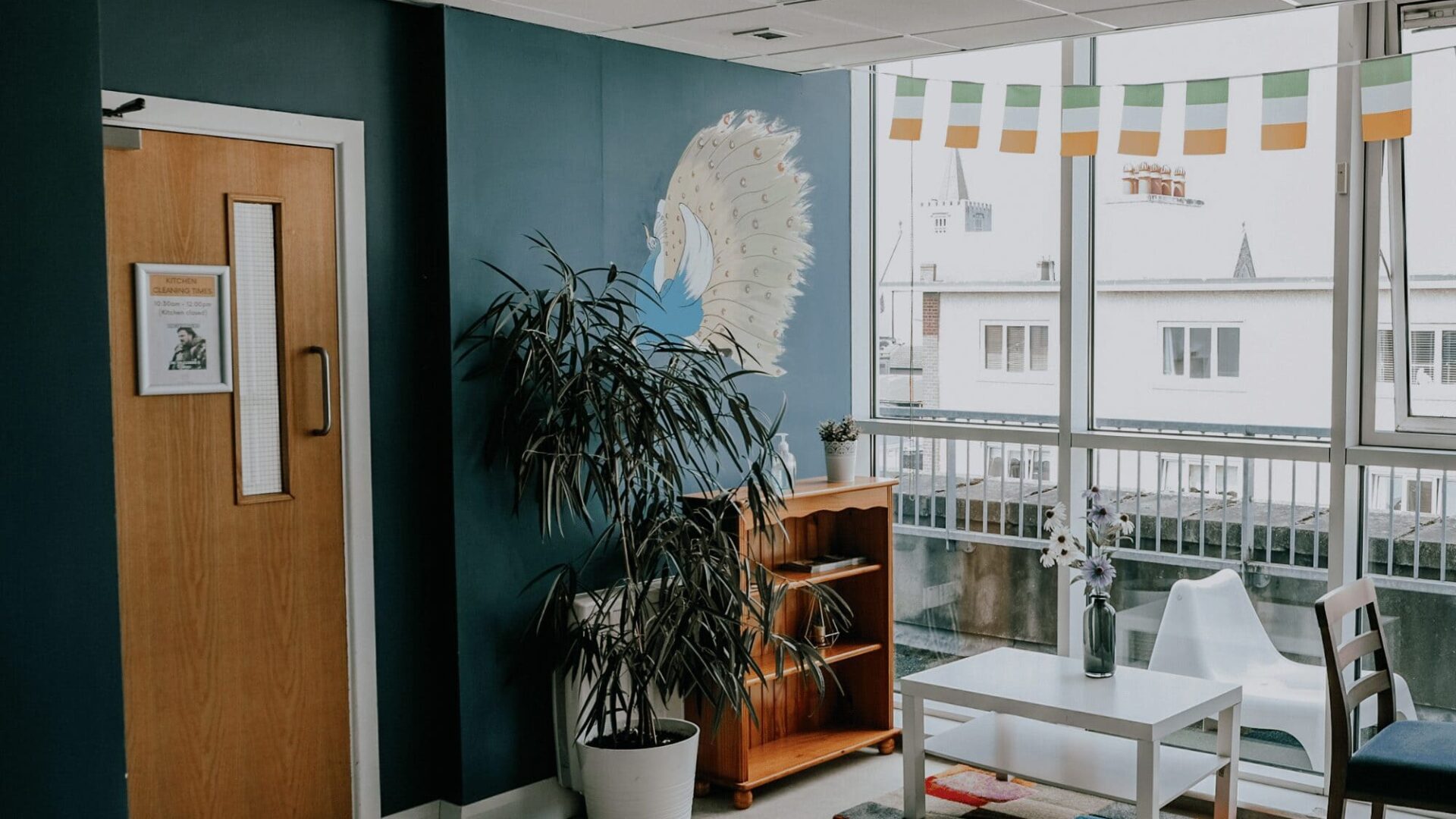 Communal Area at Garden Lane Backpackers 5